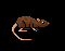 Rat brown.gif