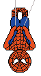 Spiderman Concept.gif