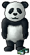 Panda Pascal.gif