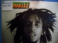 Marley pic.jpg